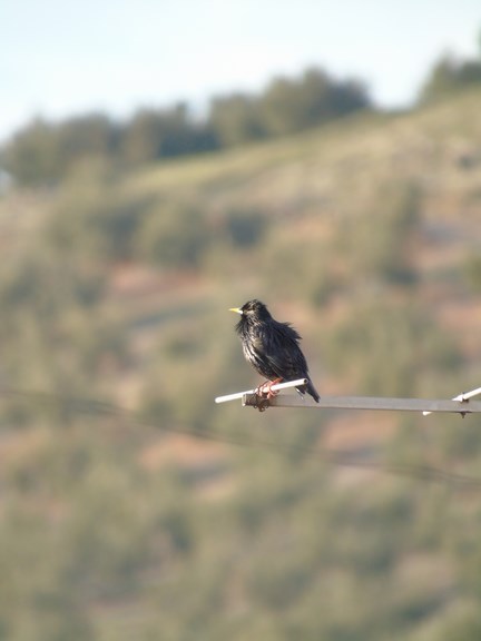 06 LuciaGarcia4ESO C (Copy)